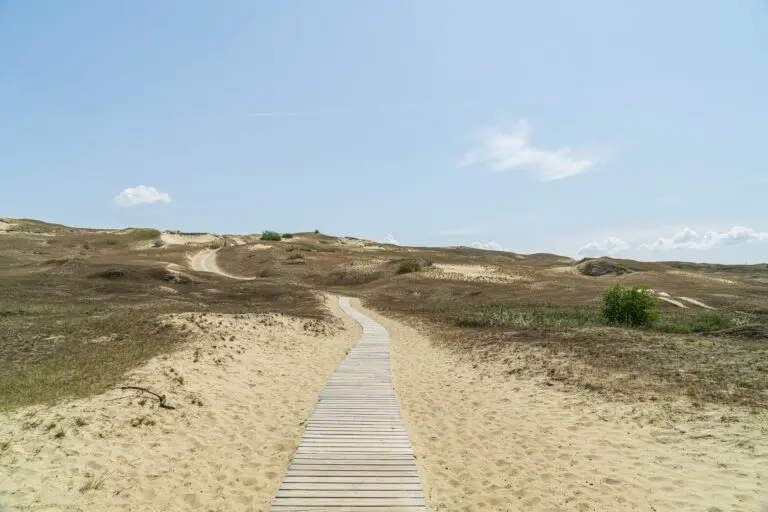  (5891) Sandschlange by Judith Grote präsentiert: Details und Strukturen, Gräser, Landschaften, Natur, Sonstige Naturdetails, Stege, Strände