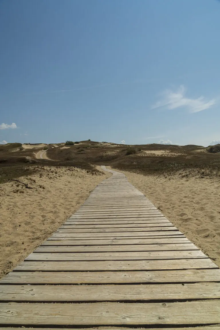  (5855) way into desert präsentiert: Details und Strukturen, Holz, Landschaften, Natur, Sommer, Sonstige Naturdetails, Stege, Strände, Wege