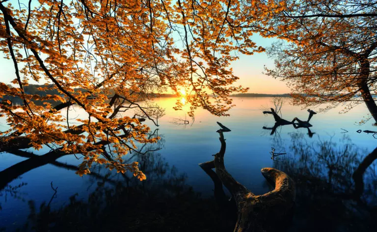 (5865) Autumn Morning by keller,1x.com präsentiert: Bäume, Blätter, Gewässer, Herbst, Landschaften, Natur, Seen, Wasser, Wasserspiegelungen