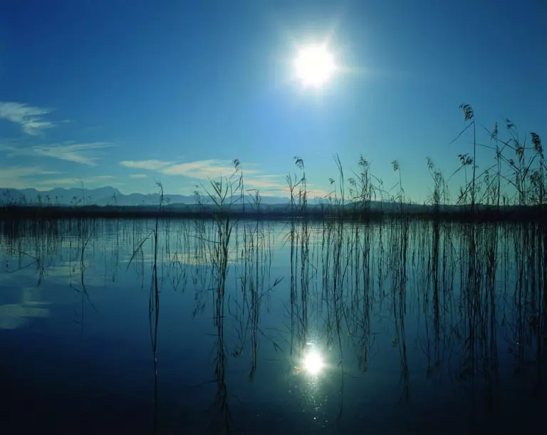 High noon by Bodo Radelt/HUBER IMAGES