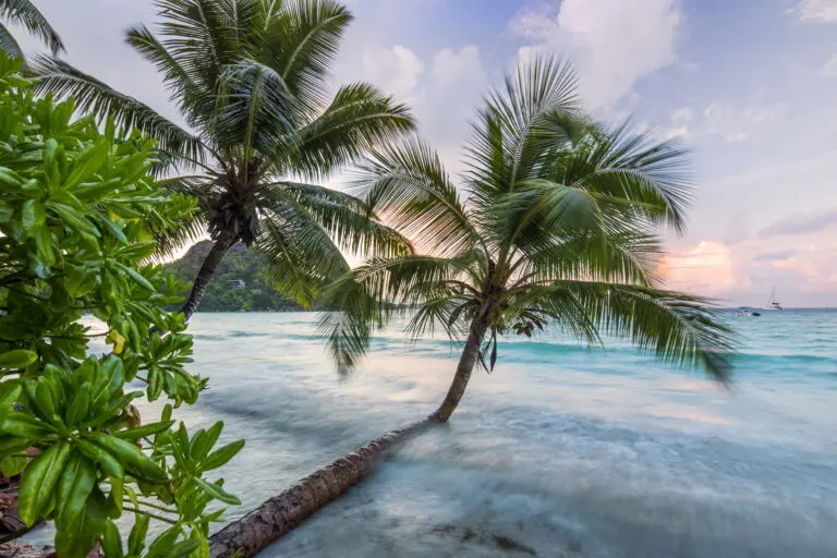  (6043) smooth sundown by Reinhard Schmid/HUBER IMAGES präsentiert:  
