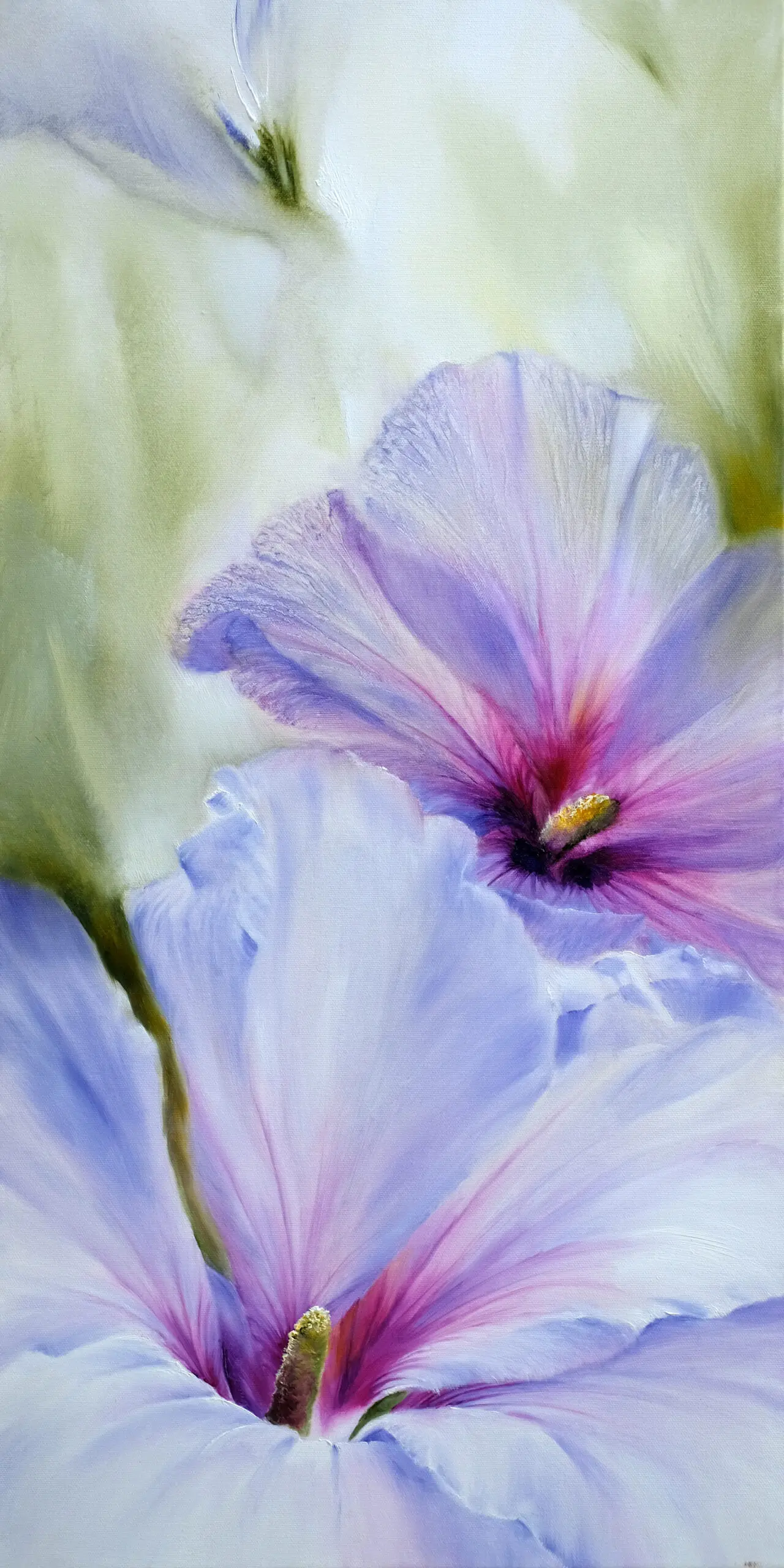Wandbild (6074) Hibiscus präsentiert: Natur,Blumen und Blüten