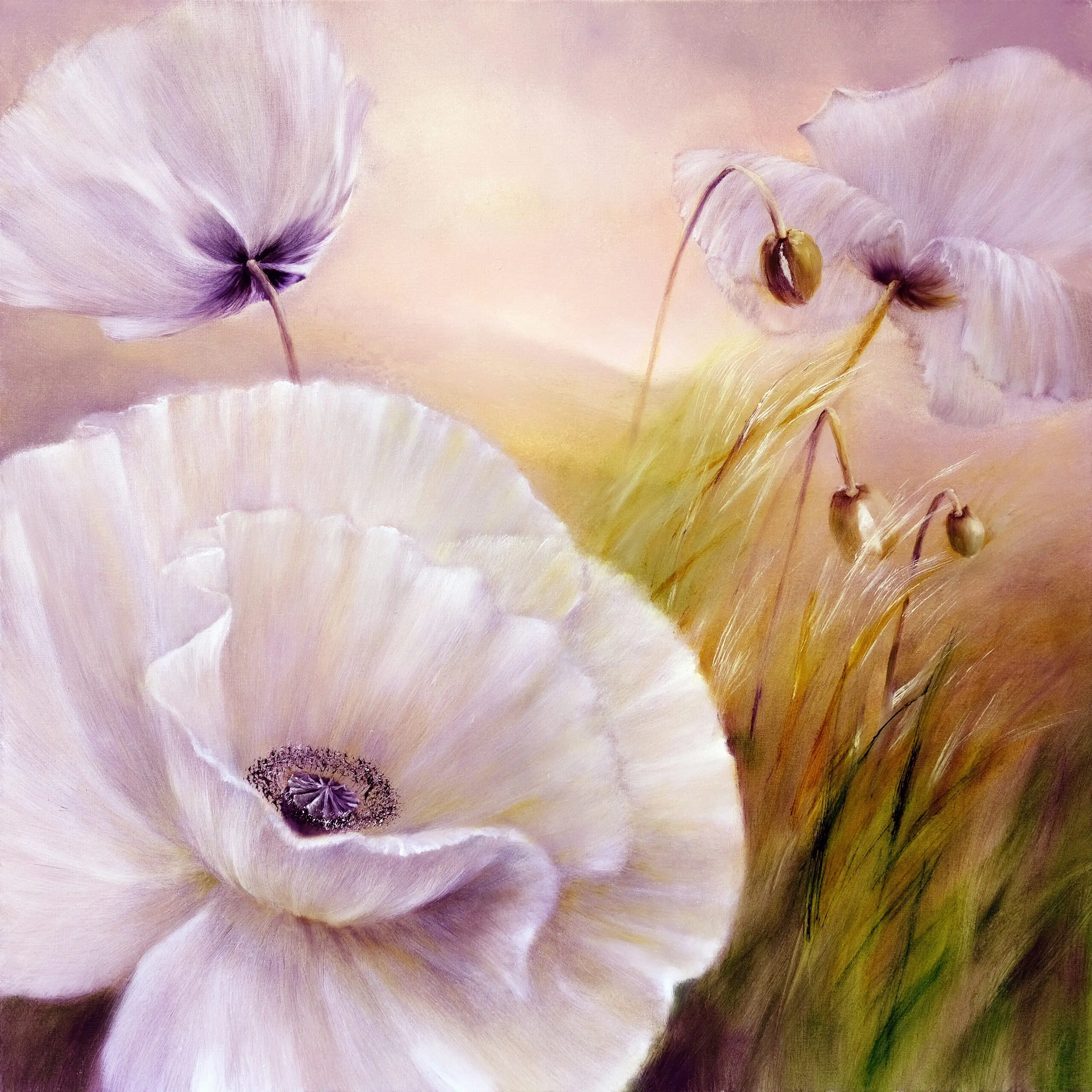 Wandbild (6077) Weißer Mohn präsentiert: Natur,Blumen und Blüten
