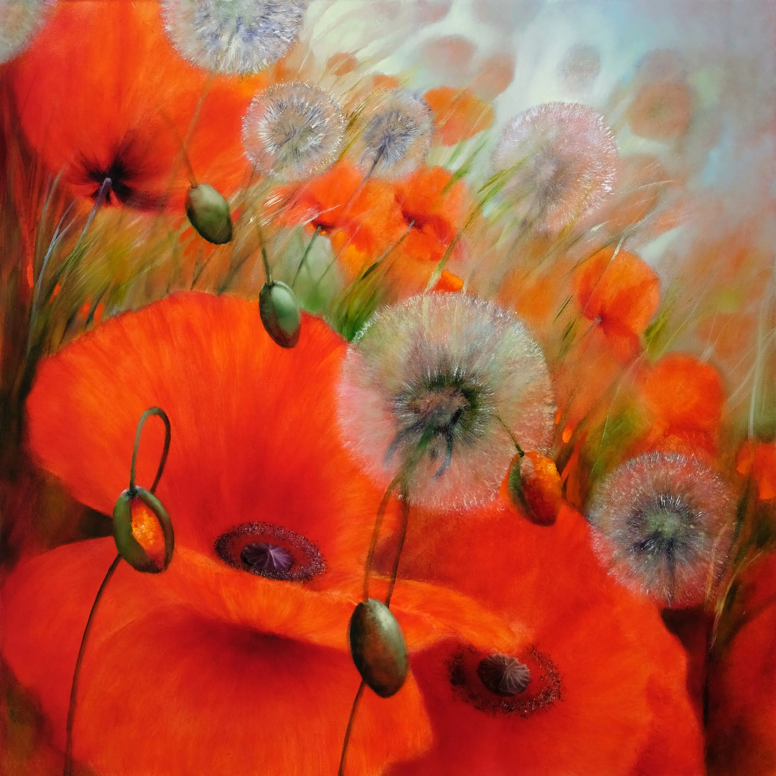 Wandbild (6078) Summer feeling präsentiert: Natur,Blumen und Blüten