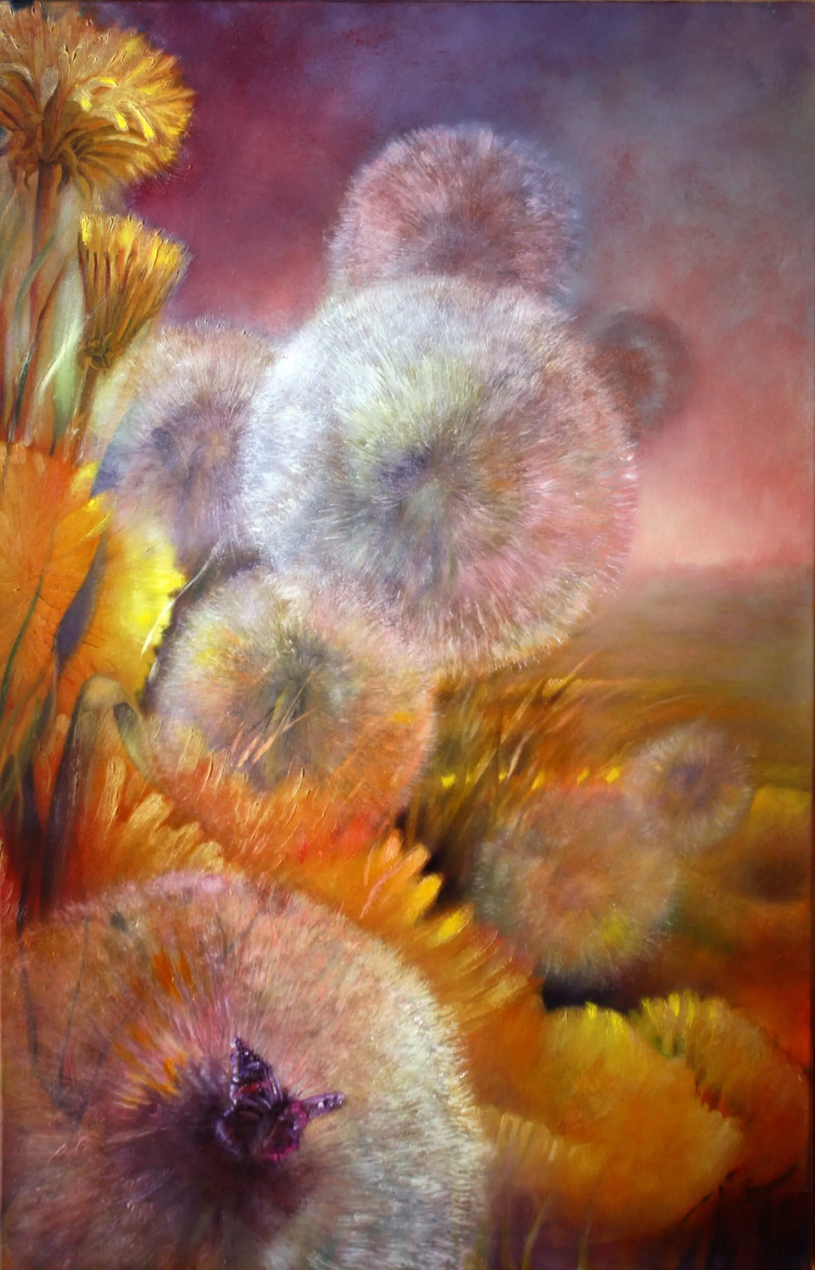 Wandbild (6079) Löwenzahn und Schmetterling präsentiert: Natur,Blumen und Blüten