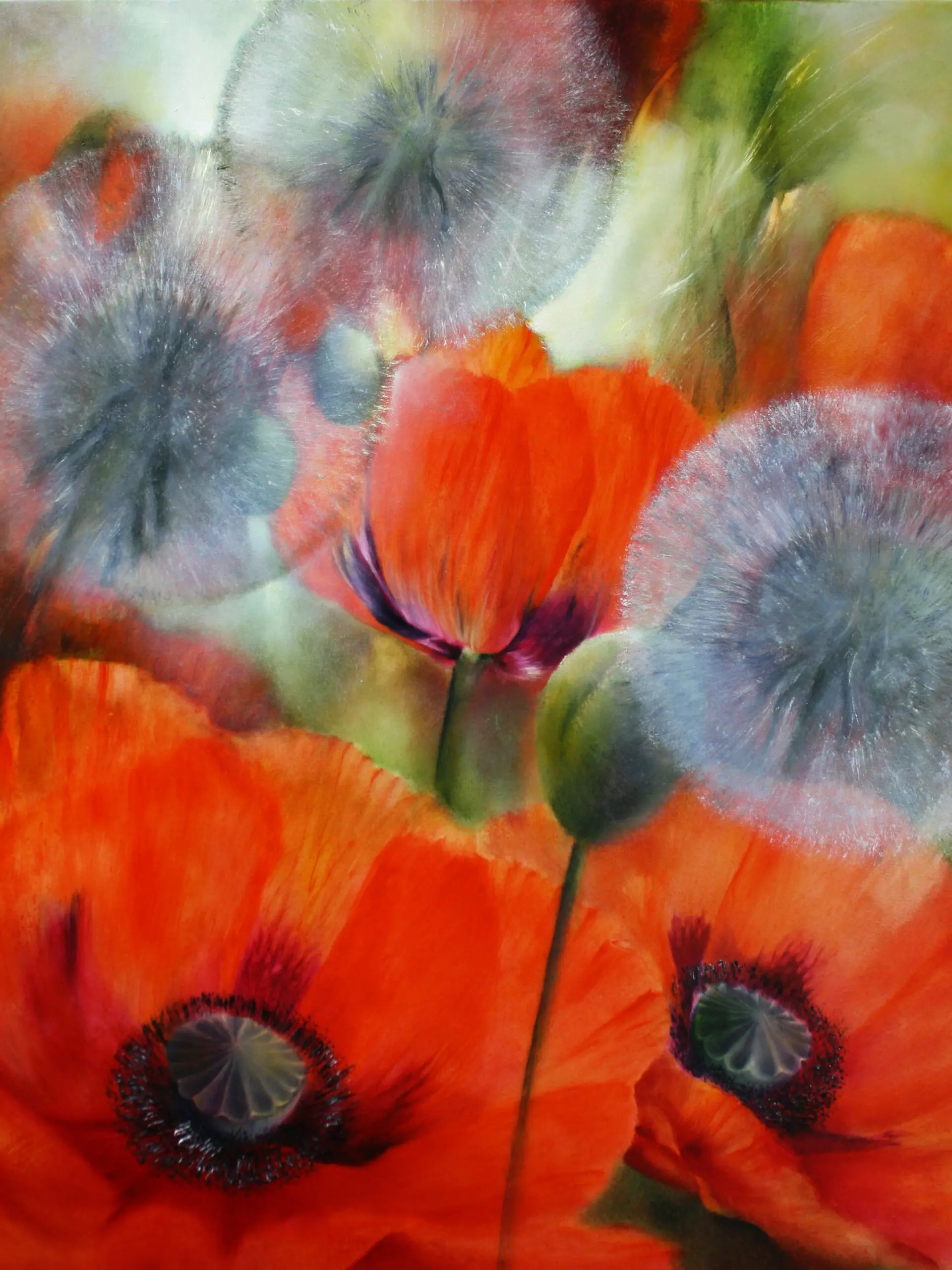Wandbild (6081) Mohn und Pusteblumen präsentiert: Natur,Blumen und Blüten