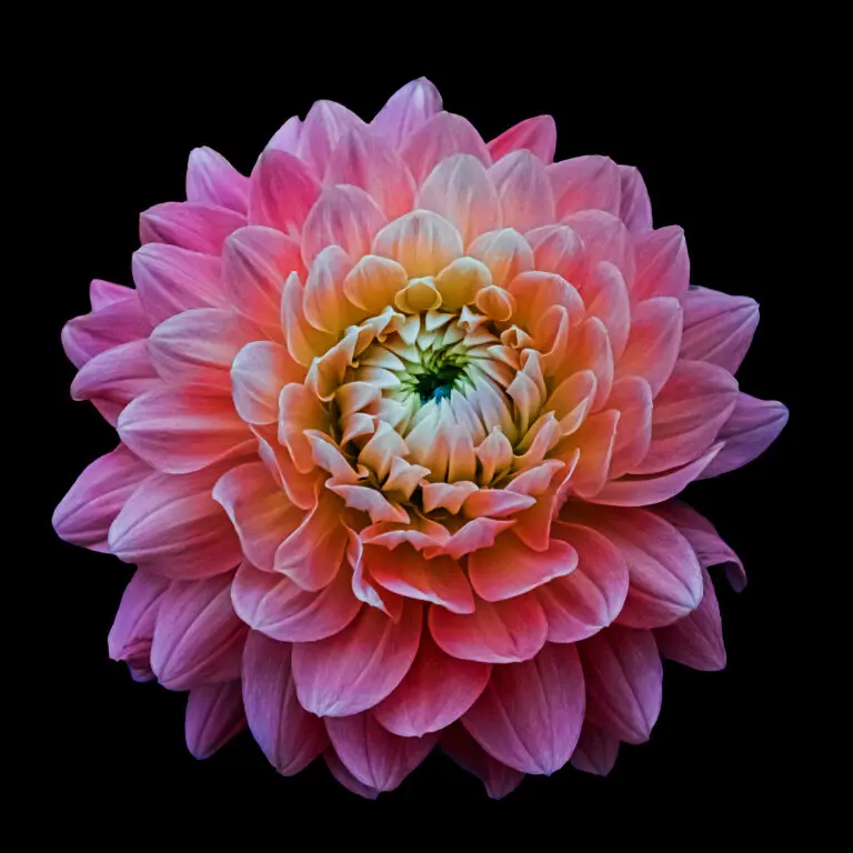  (6094) Untitled by Harzig Pandya, 1x.com präsentiert:  