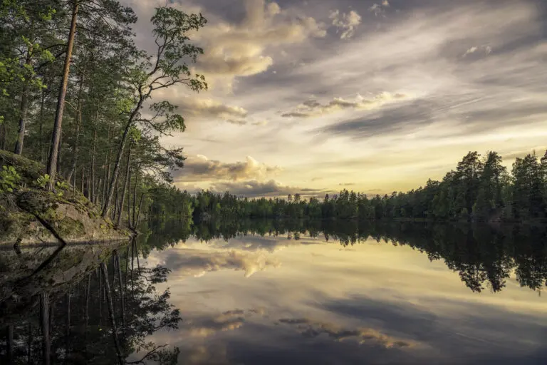  (6142) Lake tarmsjön by Christian Linsten,1x.com präsentiert: Frühling, Gewässer, Landschaften, Natur, Seen, Wälder, Wasser