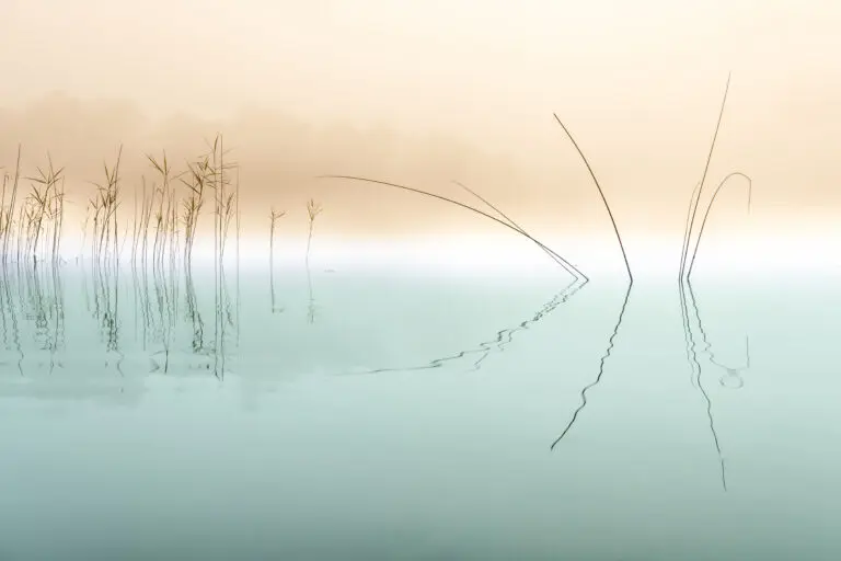  (6150) Silence by Ulrike Eisenmann,1x.com präsentiert:  