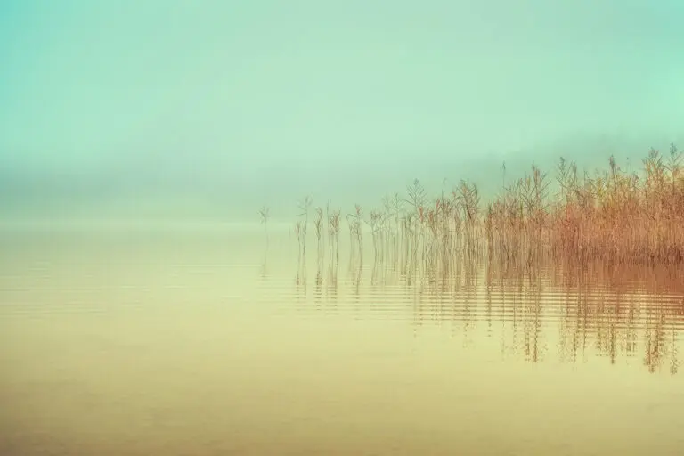  (6151) Just a peaceful moment by Ulrike Eisenmann,1x.com präsentiert:  