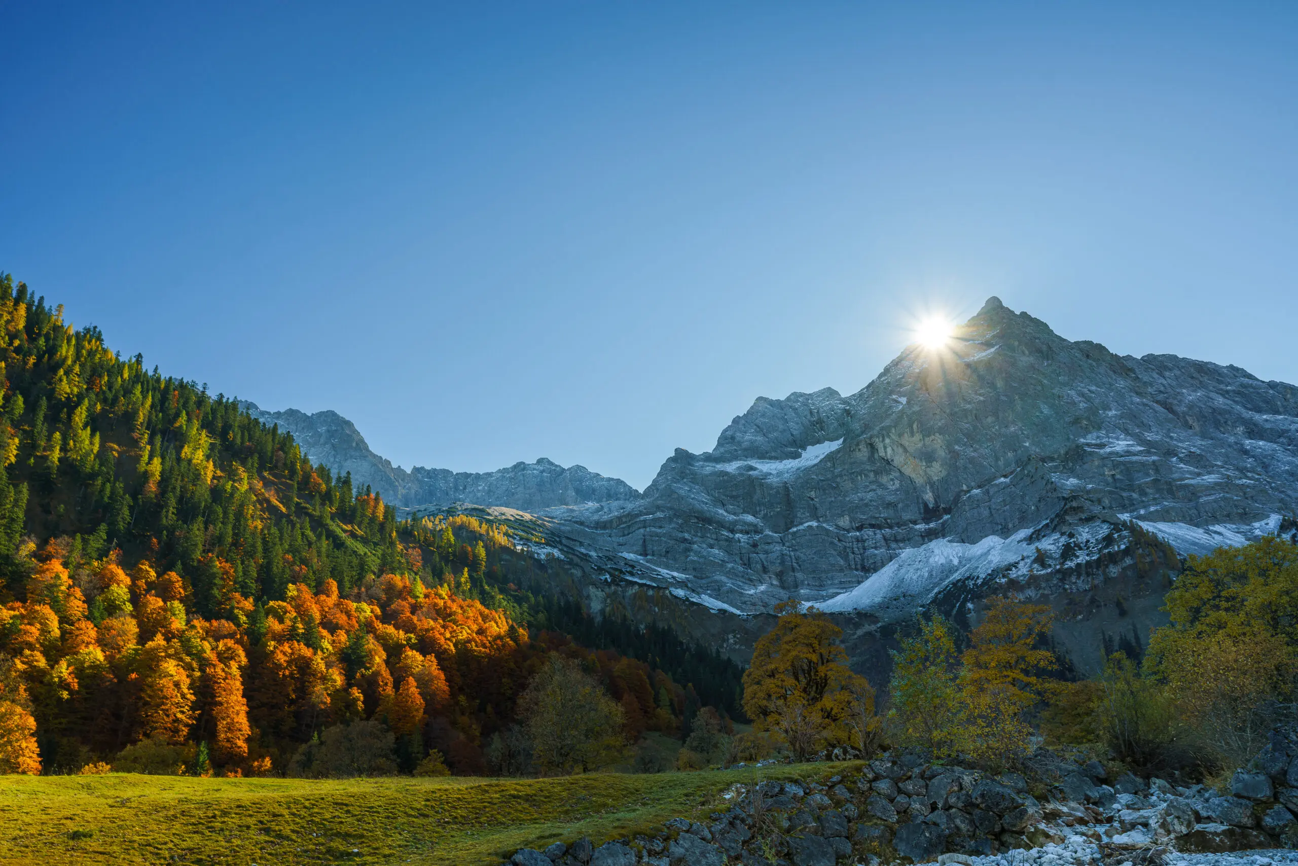 Wandbild (6219) Morgenstern by Judith Grote präsentiert: Natur,Landschaften,Bäume,Wälder,Berge,Herbst