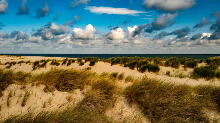  (6198) Dune präsentiert: Landschaften, Sommer