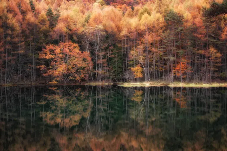 Beautiful reflection in Autumn by Daiki Suzuki,1x.com