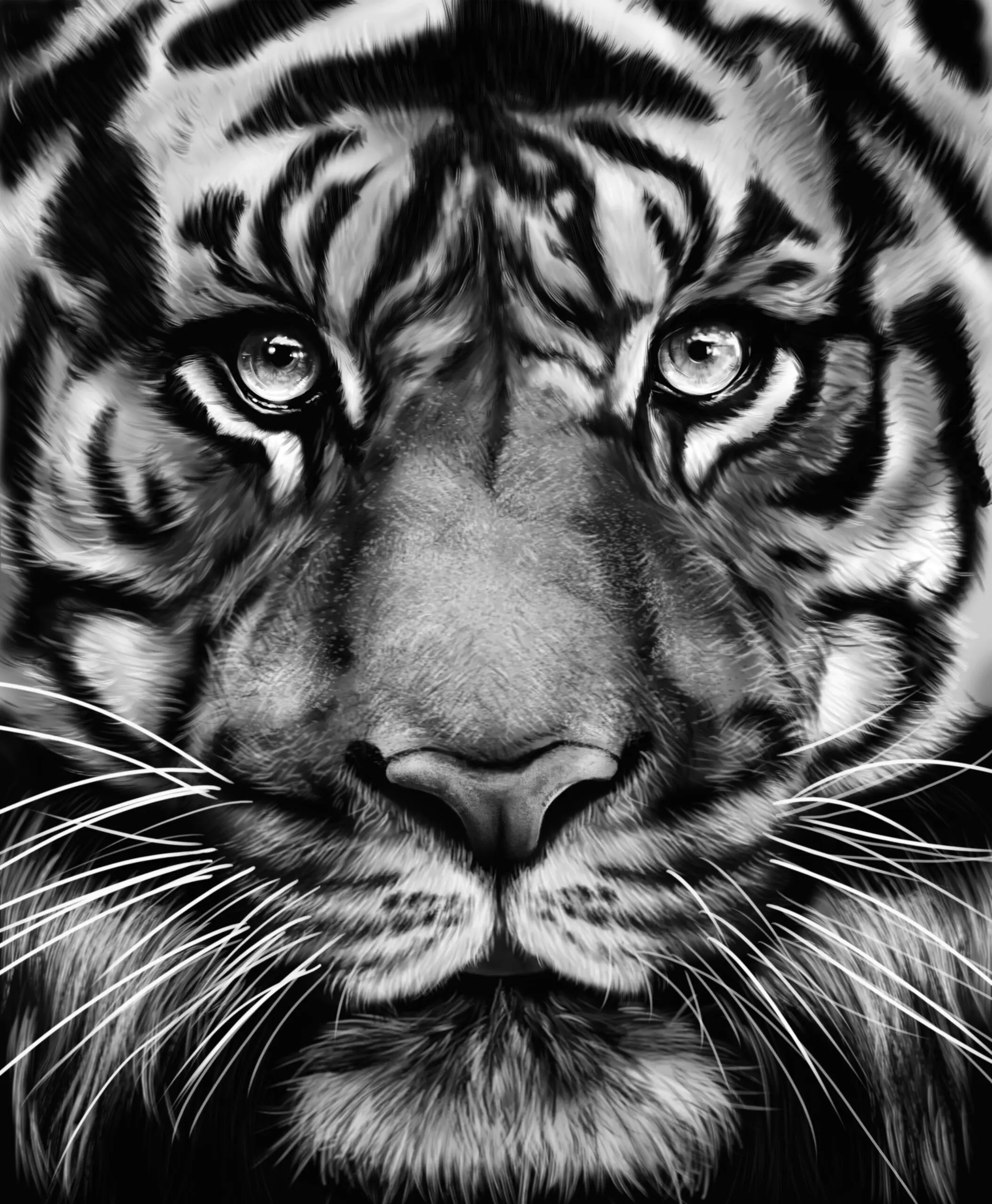 Wandbild (6415) Tiger by Gabriella Roberg,pictufy präsentiert: Kreatives,Tiere,Natur,Wildtiere,Aus Afrika