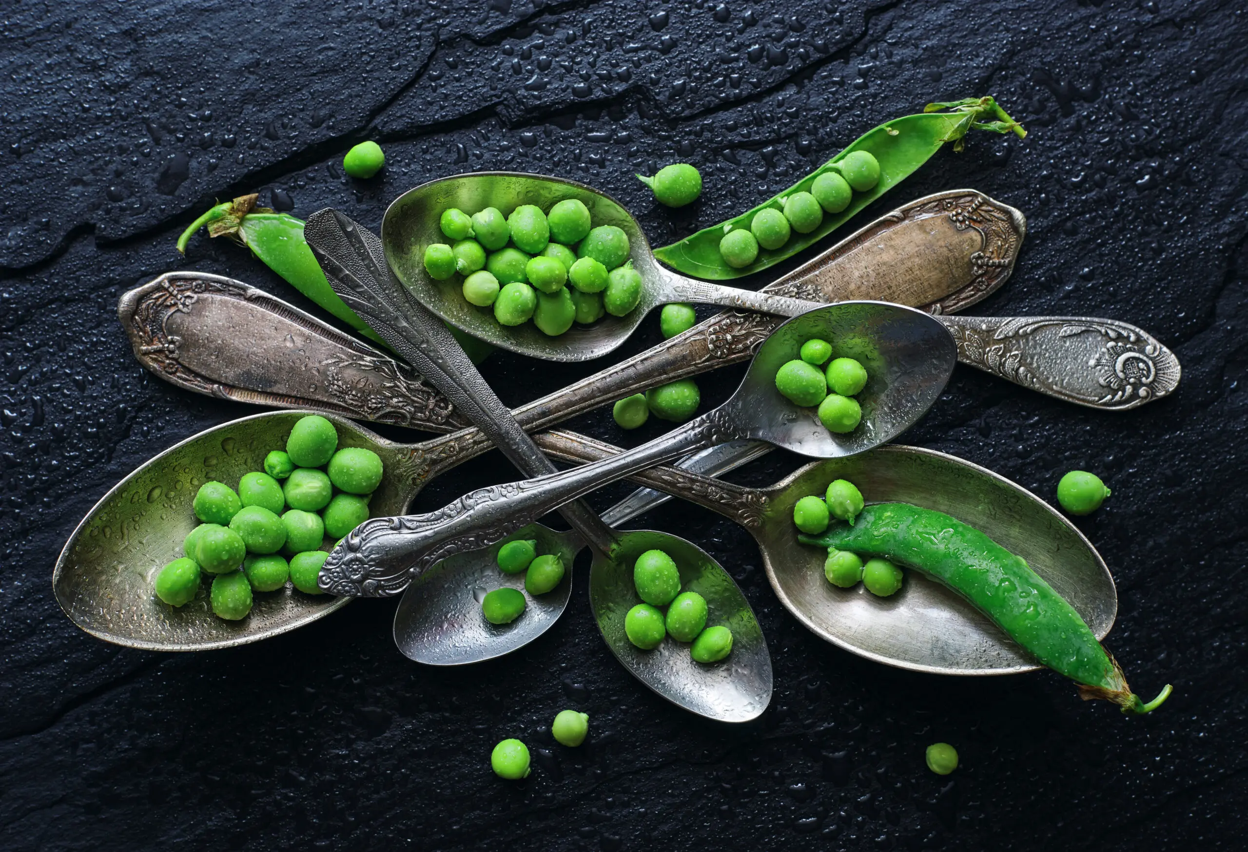 Wandbild (25556) SpoonsaGreen Pea by Aleksandrova Karina präsentiert: Stillleben