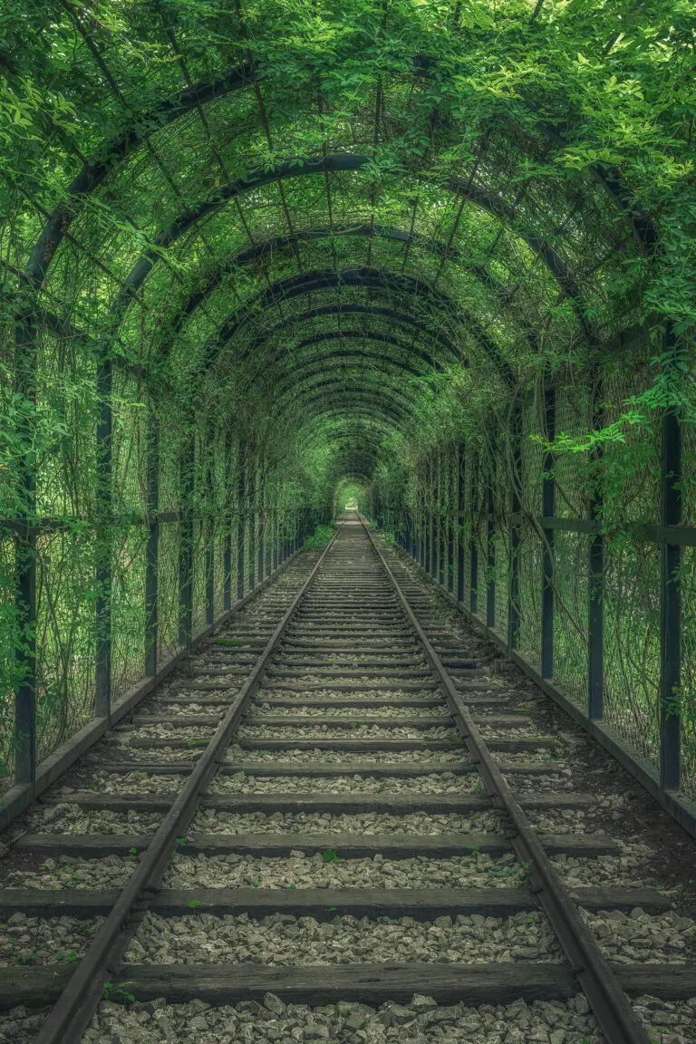  (26162) Green Tunnel by Mei Xu präsentiert: Natur