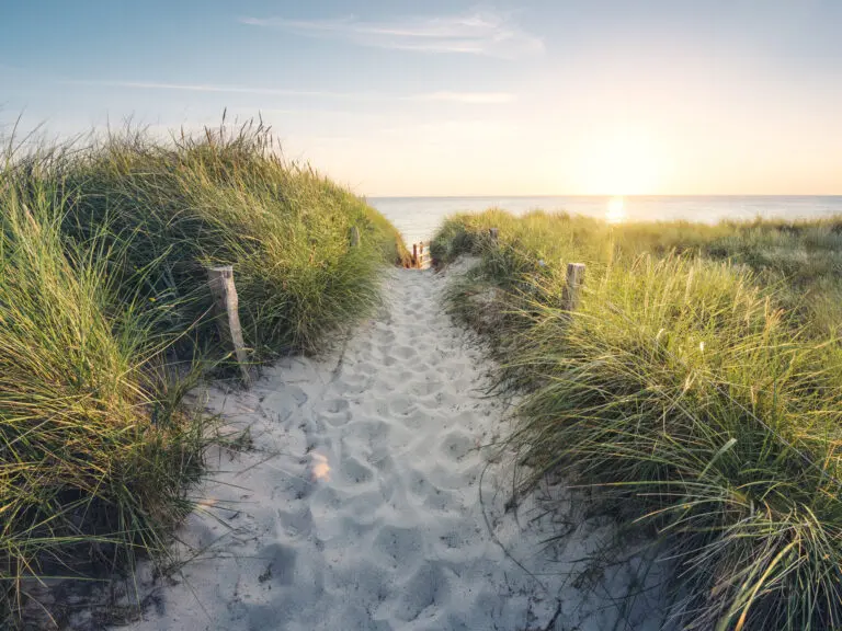  (26861) To the Beach by StefanHefele präsentiert: Landschaften, Meere, Natur, Sommer, Strände, Wasser, Wege