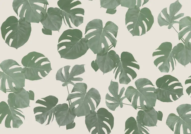  (27163) Monstera Leaves by pictufy studio präsentiert: Blätter, Details und Strukturen, Kreatives, Natur, Sonstige Naturdetails, Sonstiges Kreatives