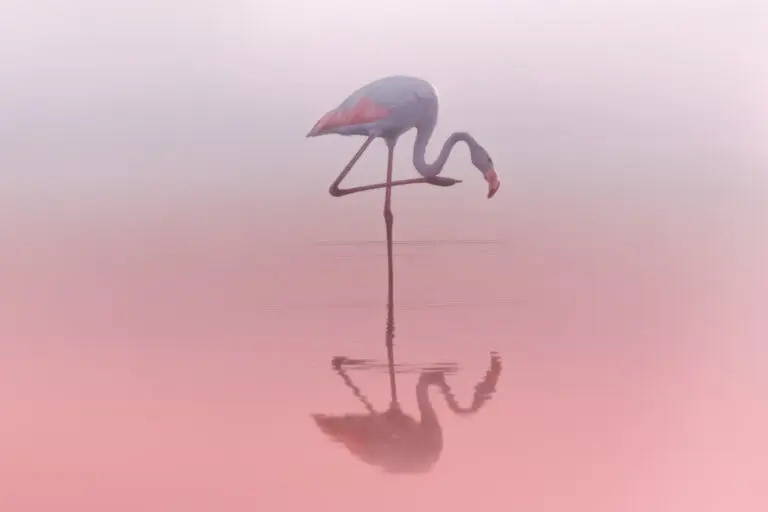  (27437) 4… by Natalia Rublina präsentiert:  