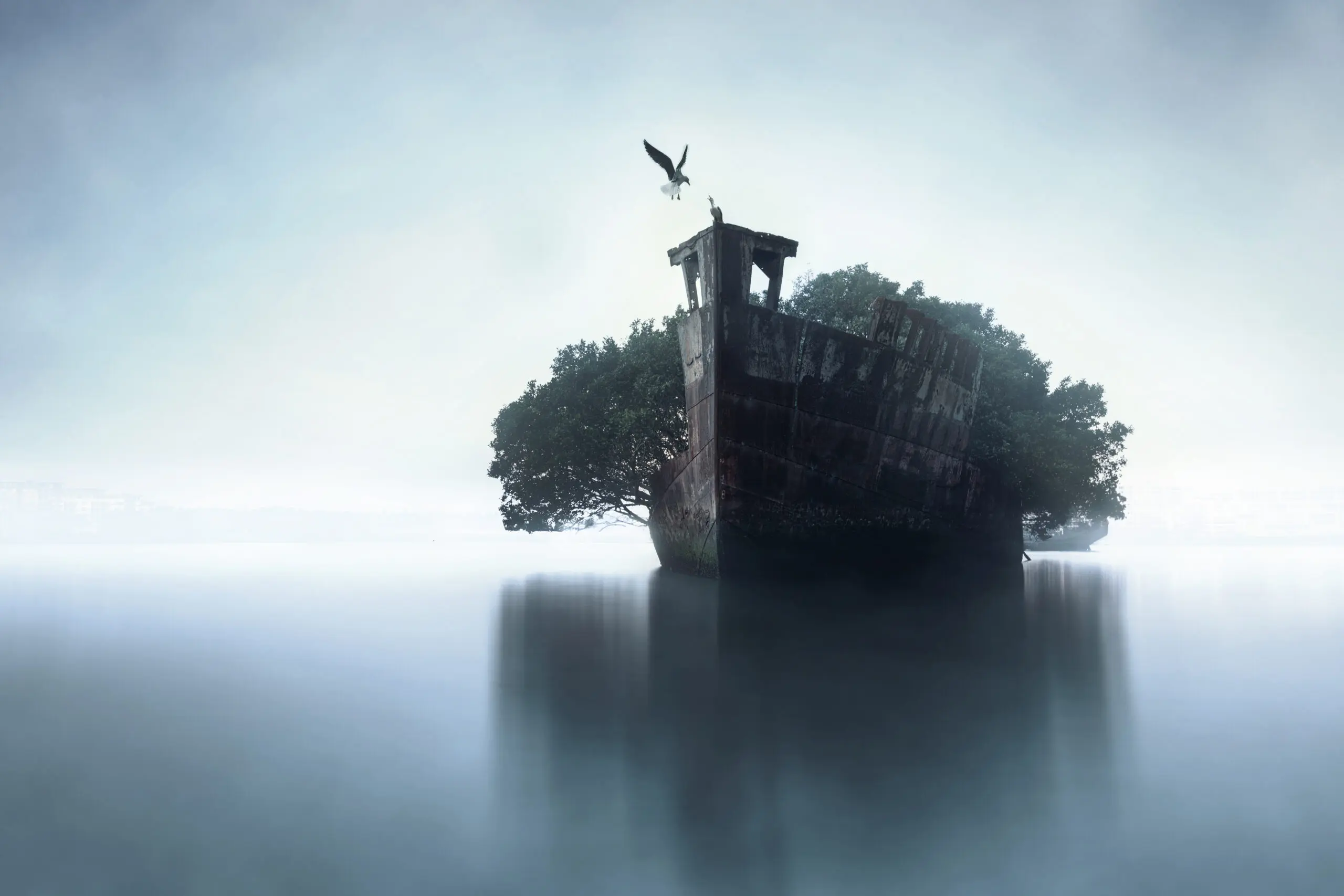 Wandbild (28400) 100 Years Later by Terry F präsentiert: