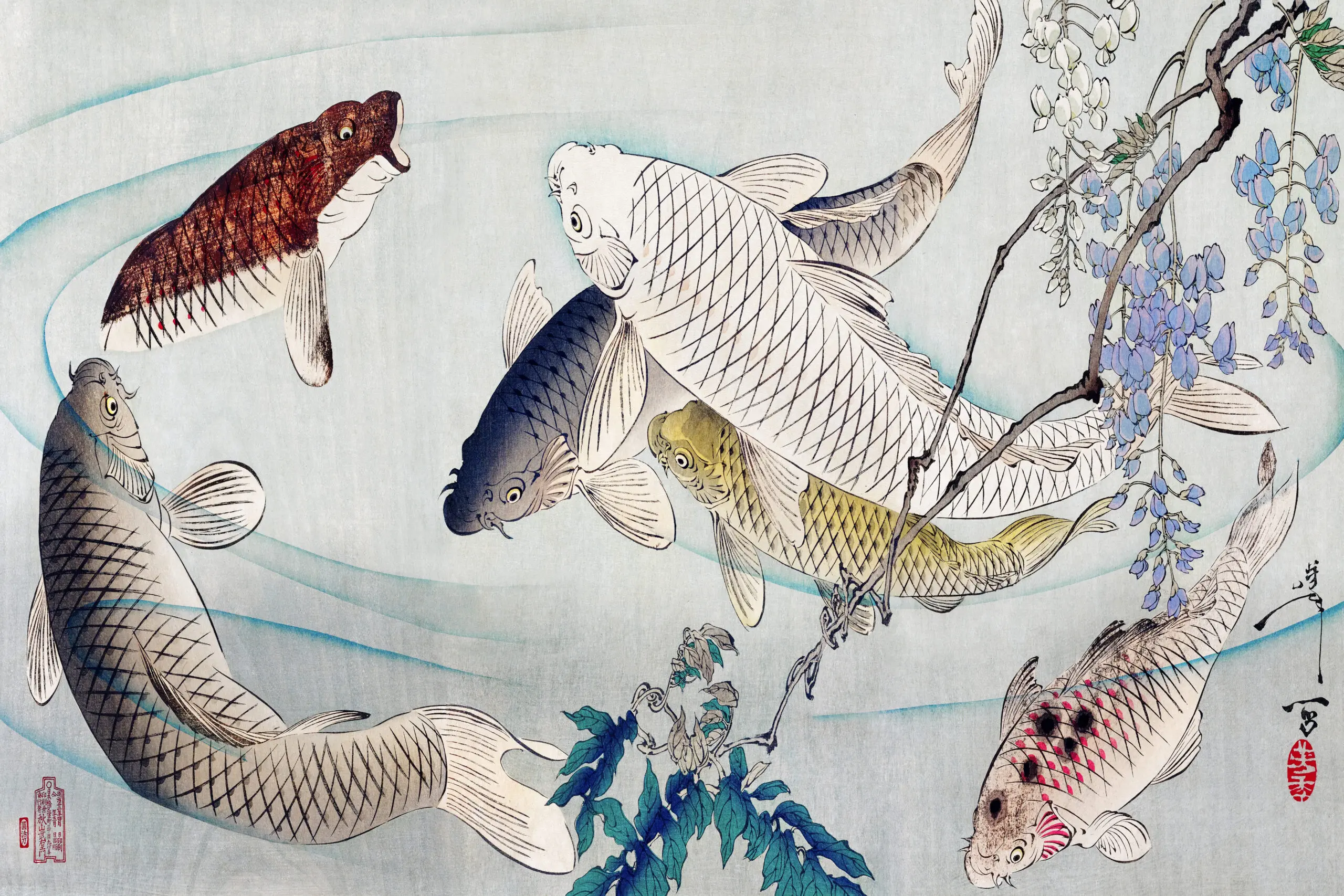 Wandbild (29283) Six Carp Swimming Beneath Wisteria (1889) by Tsukioka Yoshitoshi präsentiert: Wasser,Kreatives,Tiere,Natur,Fische,Meere,Seen